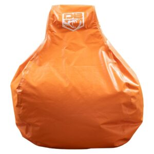 Diamondback Bean Bag