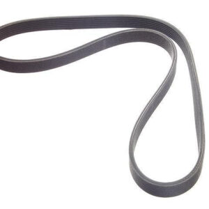 Serpentine Belts