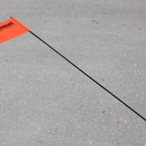 Diamondback Flag with Pole