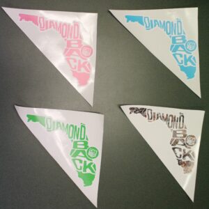 Diamondback Airboats Decals